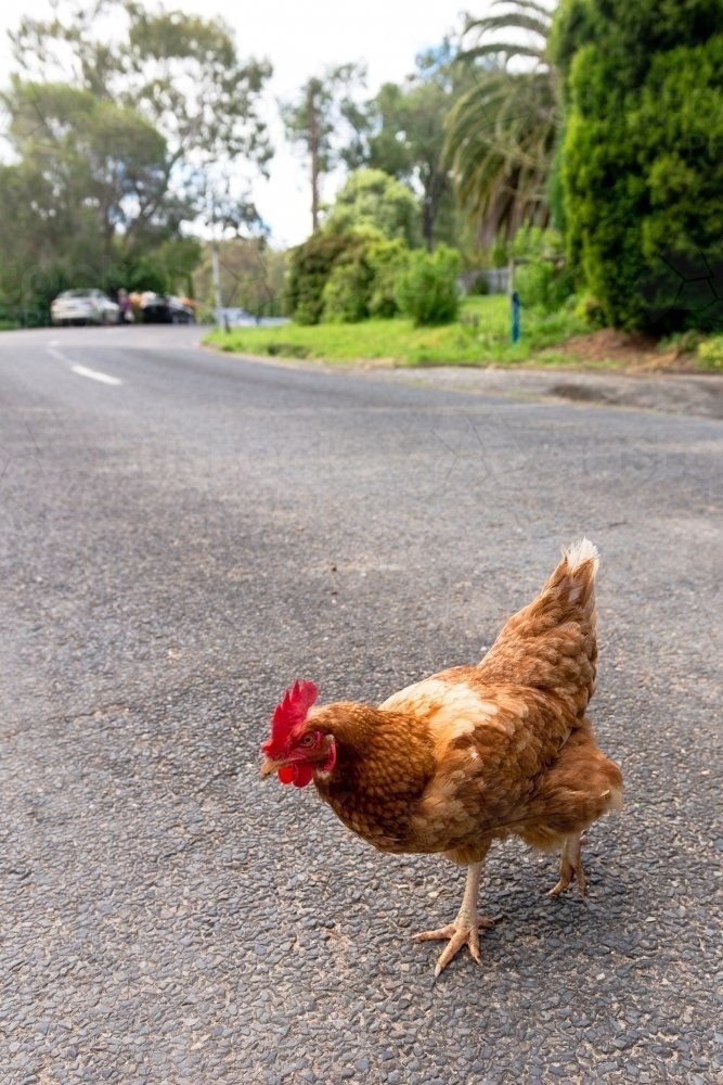 Spain - chicken road oficial